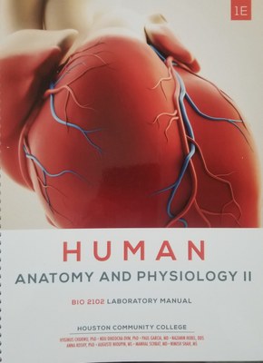 Human Anatomy & Physiology II BIOL 2102 BlueDoor Lab Manual
