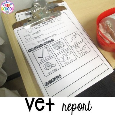 vet report 
