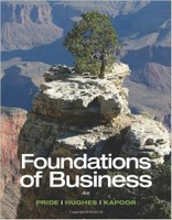 Foundations of Business, 4th